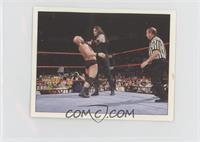 Steve Austin, Undertaker, Earl Hebner