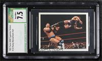 The Rock, Rocky Maivia, Owen Hart [CSG 7.5 Near Mint+]