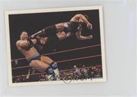 The Rock, Rocky Maivia, Owen Hart