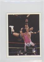 Rocky Maivia, The Rock, Bret Hart [EX to NM]