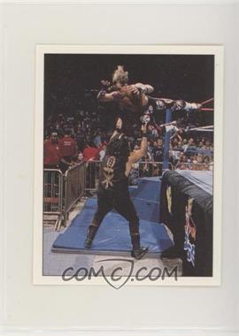1997 Panini WWF Superstars Album Stickers - [Base] #24 - Shawn Michaels, Mick Foley
