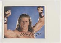 Shawn Michaels