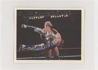 Shawn Michaels, Sid Vicious