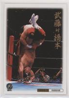 Keiji Mutoh vs. Shinya Hashimoto