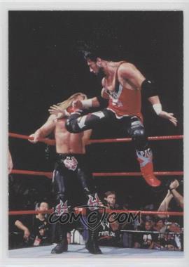 1998 Comic Images WWF Superstarz - [Base] #23 - 1-2-3 Kid