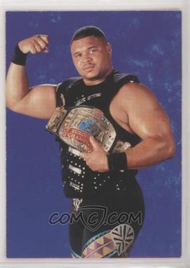 1998 Comic Images WWF Superstarz - [Base] #9 - D'Lo Brown