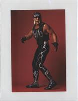 Hollywood Hogan