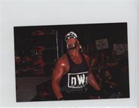 Hulk Hogan