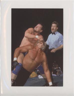 1998 Panini WCW/nWo Photo Cards - [Base] #70 - Roddy Piper vs Hulk Hogan