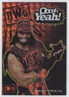 Randy Savage [Good to VG‑EX]