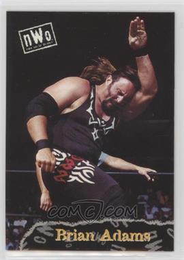 1998 Topps WCW/nWo - [Base] #55 - Brian Adams