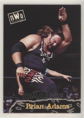 1998 Topps WCW/nWo - [Base] #55 - Brian Adams