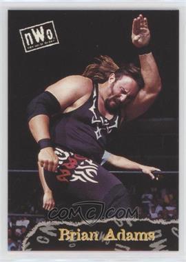 1998 Topps WCW/nWo - [Base] #55 - Brian Adams