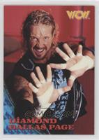 Diamond Dallas Page