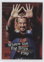 Diamond Dallas Page