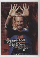 Diamond Dallas Page