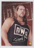 The Giant, Big Show