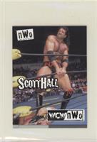 Scott Hall