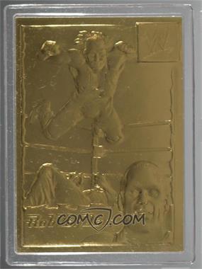 1999-05 Danbury Mint 22K Gold WWF/E - [Base] #66 - Rob Van Dam [Uncirculated]