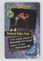 Diamond Dallas Page (Diamond Cutter)