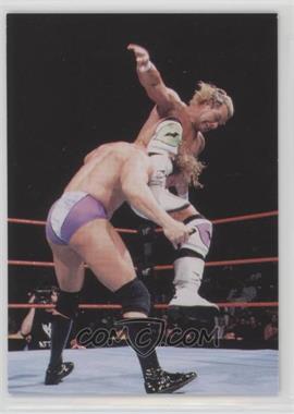 1999 Comic Images WWF SmackDown! - [Base] #10 - Billy Gunn