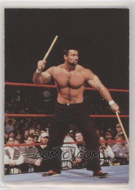 1999 Comic Images WWF SmackDown! - [Base] #37 - Steve Blackman [EX to NM]