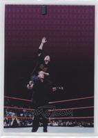 Shane and Vince McMahon Vs. Steve Austin