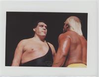 Hulk Hogan vs. Andre the Giant