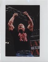 Checklist - Steve Austin