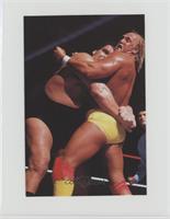 Hulk Hogan vs. Andre the Giant, Ted DiBiase, Virgil