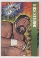 Rick Steiner