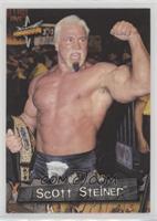 Scott Steiner