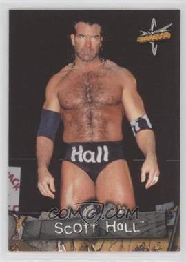 1999 Topps WCW Embossed - [Base] #59 - Scott Hall