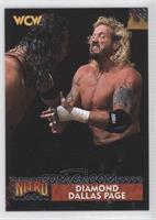 Diamond Dallas Page