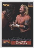 Diamond Dallas Page