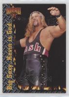 Kevin Nash