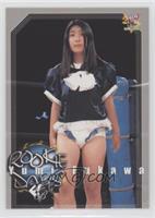 Rookie Days - Yumi Fukawa