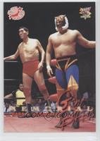 Memorial - Giant Baba, Tigermask