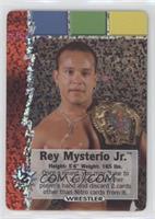 Wrestler - Rey Mysterio Jr.