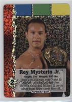Wrestler - Rey Mysterio Jr.