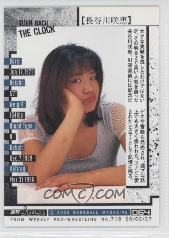 Image result for sakie hasegawa