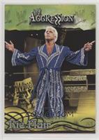 Ric Flair [EX to NM]