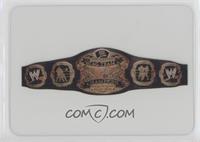 Belts - WWE Tag Team Champion