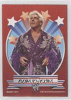 Ric Flair [EX to NM]
