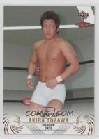 Akira Tozawa