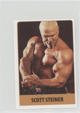 2008 Rafo Wrestling Keceri Stickers - [Base] #235 - Scott Steiner