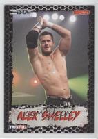 Alex Shelley