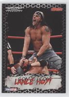 Lance Hoyt