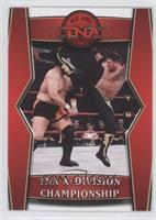 TNA X-Division Championship