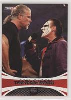 The Icon: Sting (Kevin Nash, Sting)